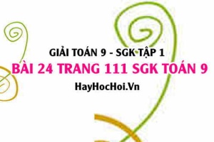 Giải bài 24 trang 111 SGK Toán 9 tập 1